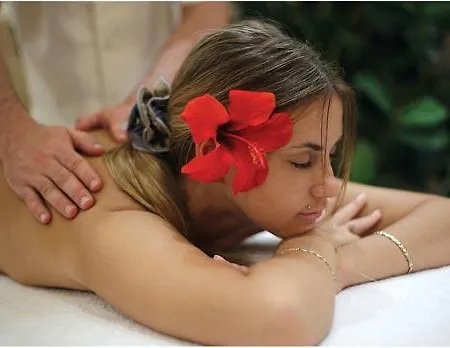 Noa אולודניץ