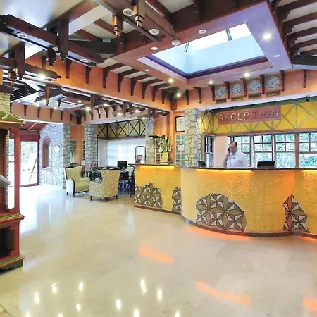 Noa אולודניץ